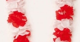 Blumen-Kette: Hulakette, rot-weiß - 1