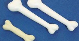 Deko-Knochen: Knochen, Kunststoff, im Beutel, 21 cm, 2 Stück - 1