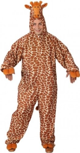 Giraffe – Overall - 1