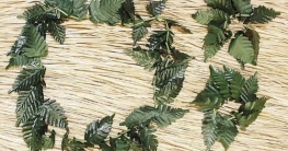 Grünes Hulablüten-Set: 1 Halskette, 2 Armbänder - 1