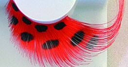 künstliche Wimpern Käfermotiv - 1