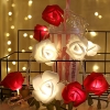 Lichterkette aus Rosen Blumen, Valentinstag, Hochzeitsdeko oder Jahrestag 1