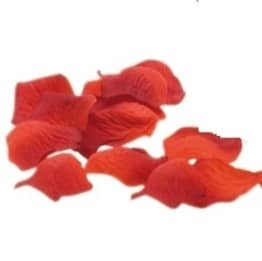 Rosenblüten: Textil, rot-bordeaux, 150er-Pack - 1