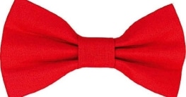 Schleife, rot, 12 cm - 1