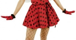 Sexy Käfer : Kleid, Petticoat und Flügel - 1