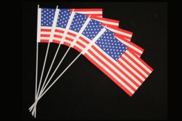 USA-Fahne: Papierfähnchen, 50er-Pack - 1